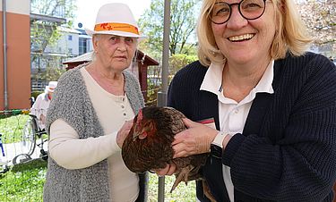 Wenn die Hennen für ein paar Wochen im Garten unterwegs sind, ist am Gehege immer was los. Brigitte Weichel (rechts), Direktorin des Kursana Domizils, ermöglicht einer Bewohnerin ganz langsam ein hautnahes Erlebnis mit einem Huhn.